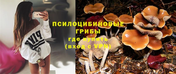 Альфа ПВП Гусь-Хрустальный