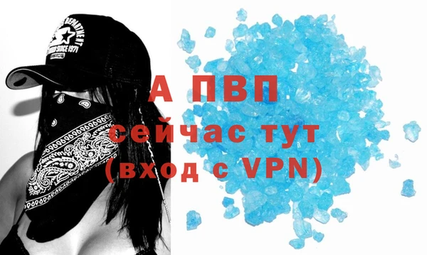 ECSTASY Гусев