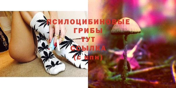 ECSTASY Гусев