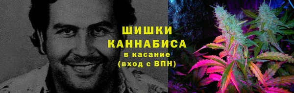 Альфа ПВП Гусь-Хрустальный