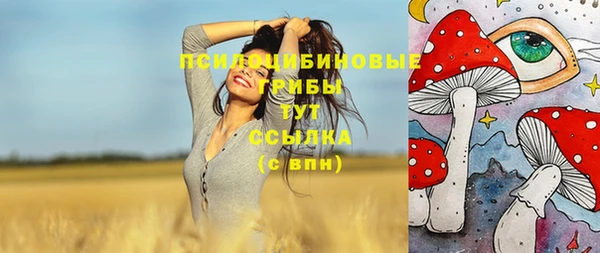 гидра Горняк